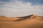 Die größte Wüste der Welt