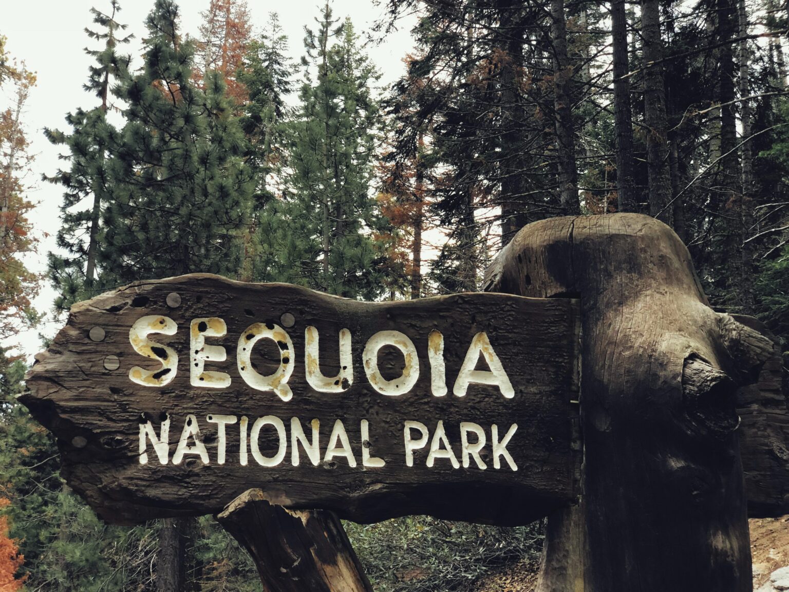 Beste Zeit für einen Besuch im Sequoia National Park