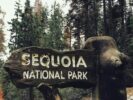 Beste Zeit für einen Besuch im Sequoia National Park