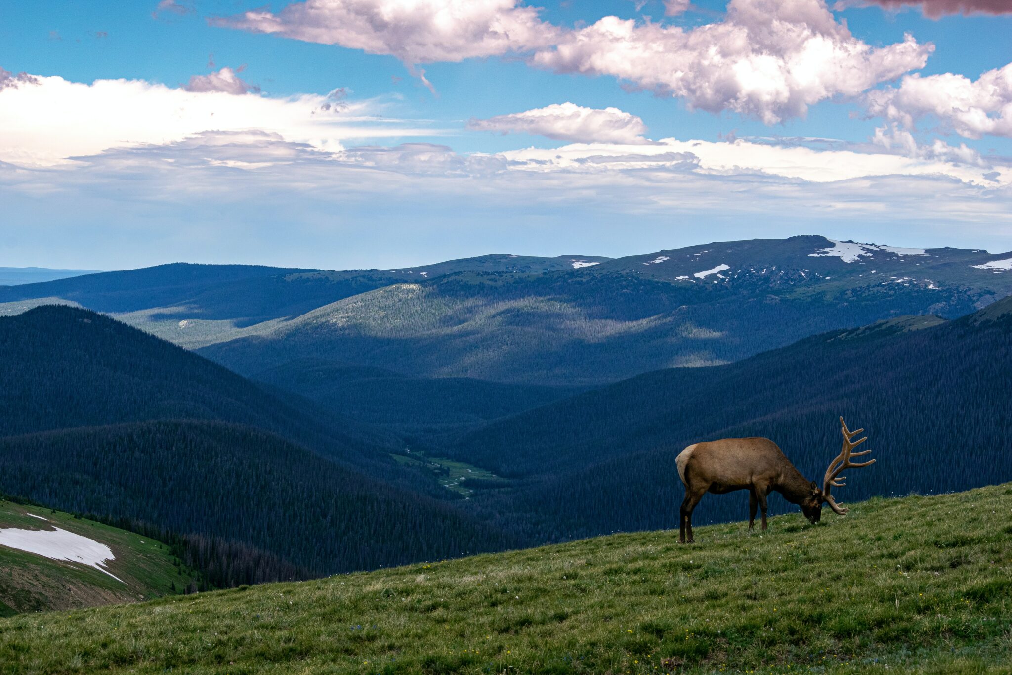 Beste Reisezeit für den Rocky Mountain National Park