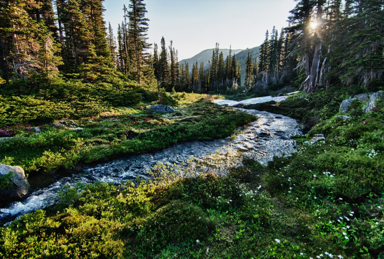 Beste Reisezeit für den Olympic National Park