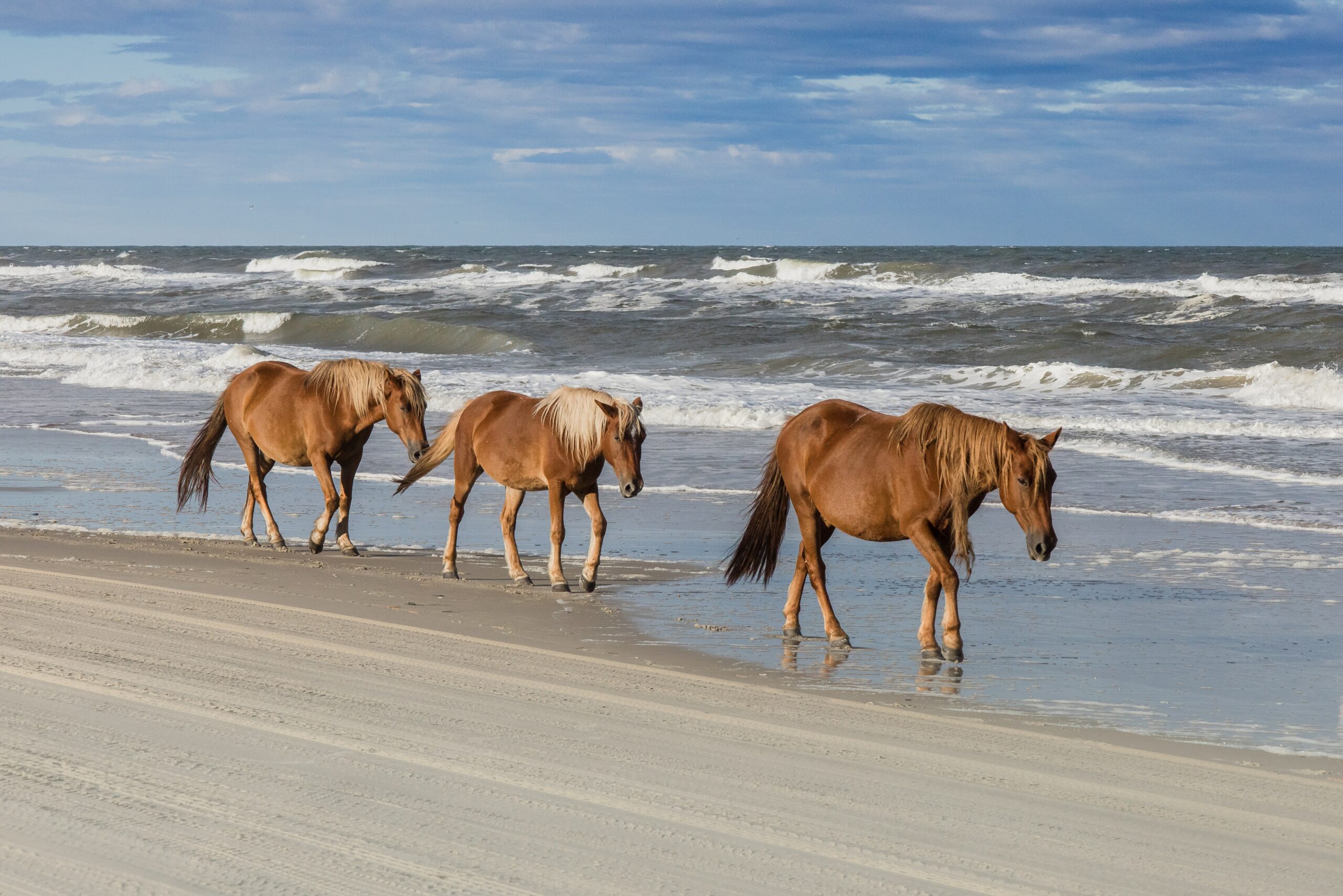 best time to visit outer banks