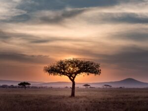 best time to visit tanzania