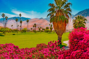 best time to visit palm springs