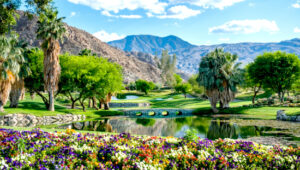 best time to visit palm springs
