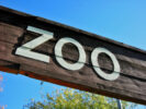 Was soll man im Zoo anziehen?