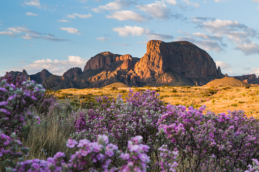 best time to visit big bend national park