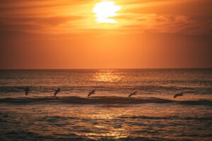 Best time to visit outer banks