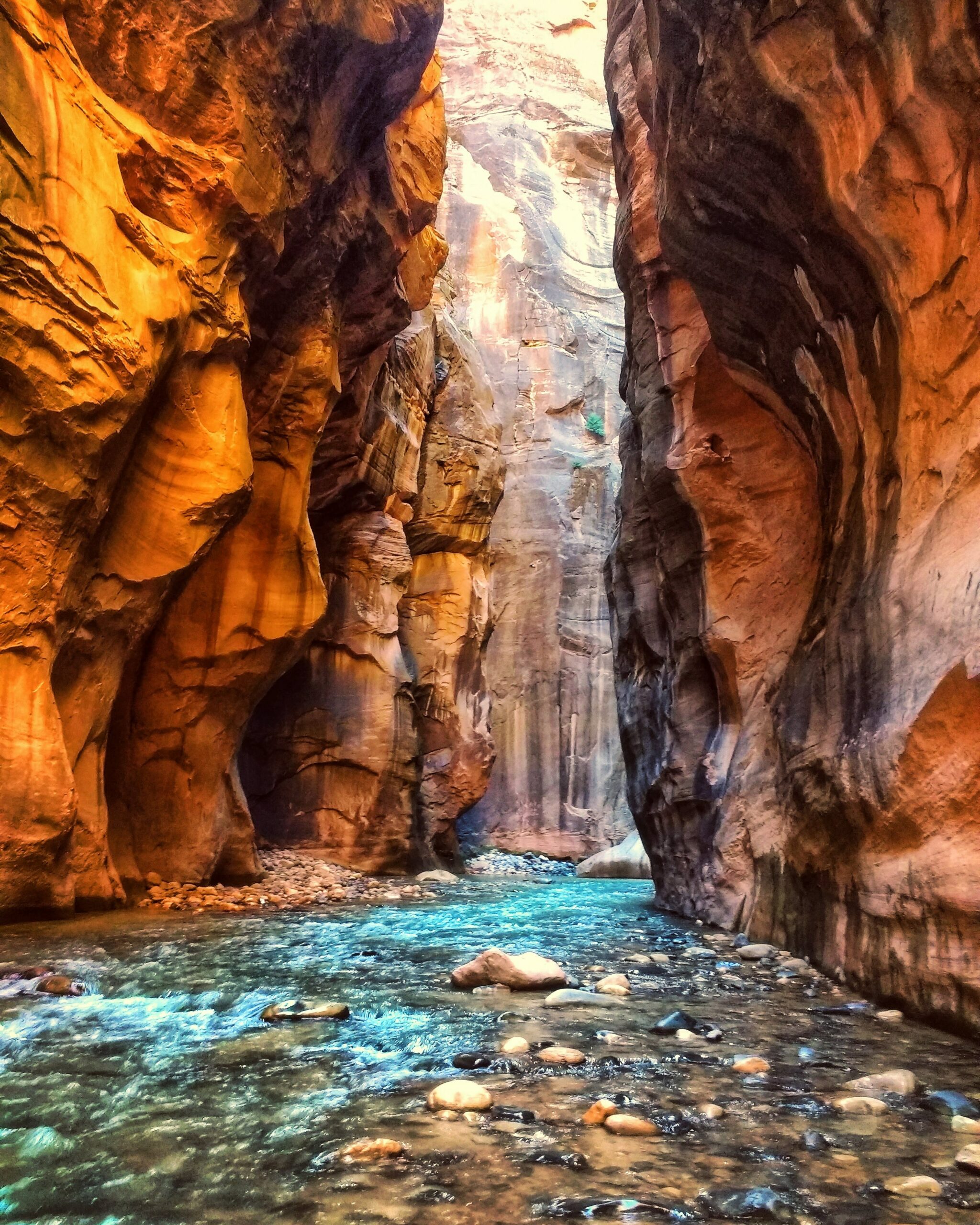 best time to go to zion national park