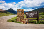 Beste Reisezeit für den Yellowstone Nationalpark