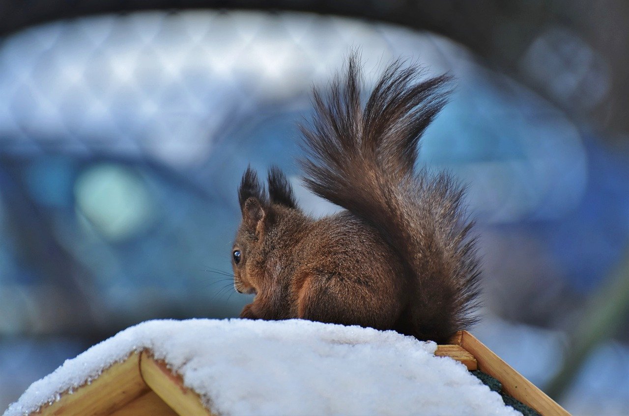 garten winterfest